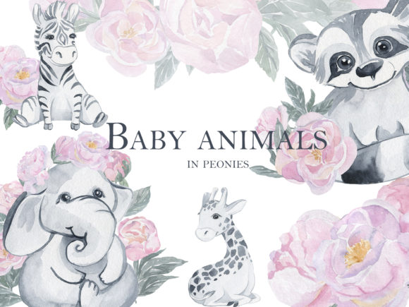 Baby Animals in Peonies Illustrations