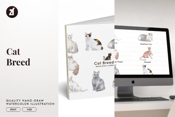 Cat Breed Set1 Review