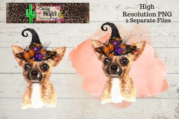 Chihuahua Halloween Witch PNG Illustrations