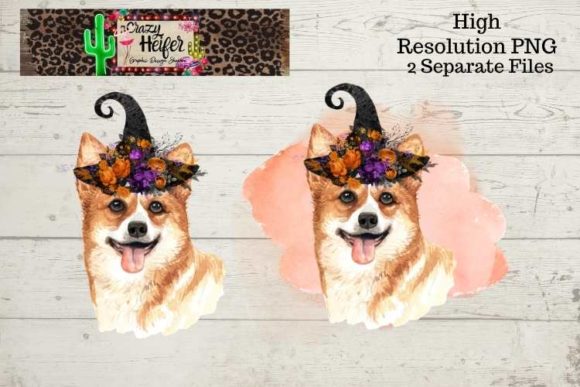 Corgi Halloween Witch PNG & Illustrations