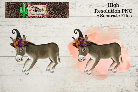 Donkey Halloween Witch PNG & Illustrations