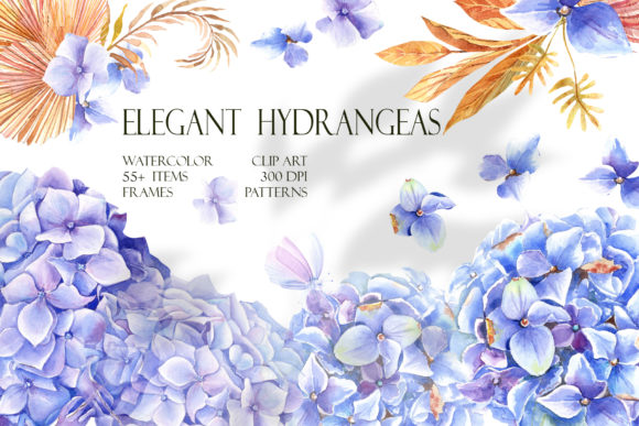 Elegant Collection Illustrations