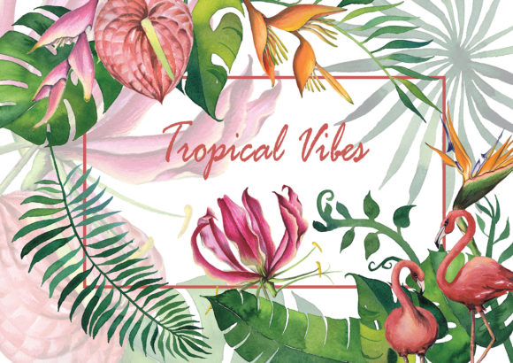 Exotic Flowers and Tropical Vibes Illustrations
