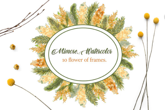 Frames with Mimosa Branches on the Outer: A Versatile Illustration for Branding and Marketing