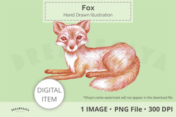 Hand Drawn Fox Png Clip Art and Illustrations
